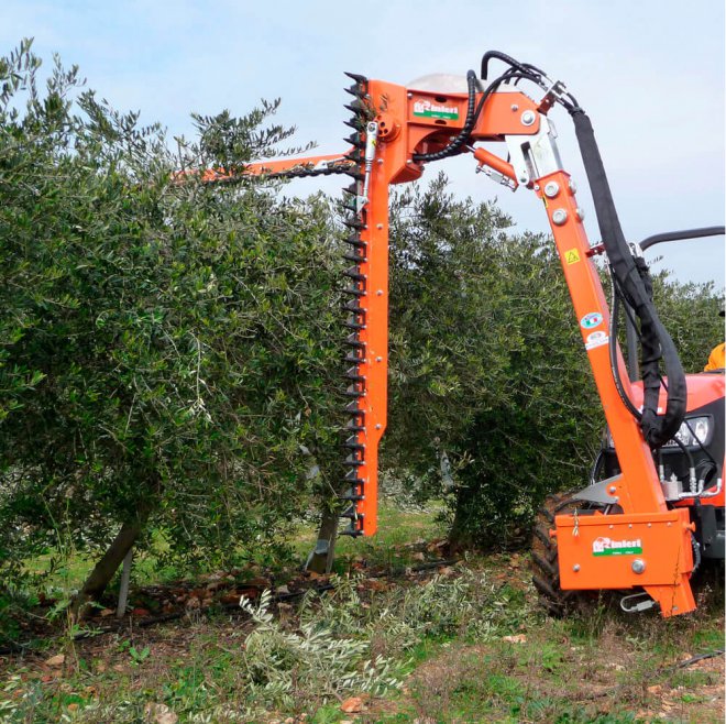 Обрезчик садовый Rinieri ORPL