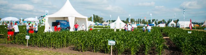 Виставка Міжнародні дні поля в Україні exhibition agroremmash field day ukraine 04