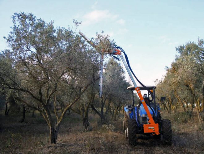 Обрезчик садовый Rinieri ORP