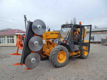 Tree pruner for a loader